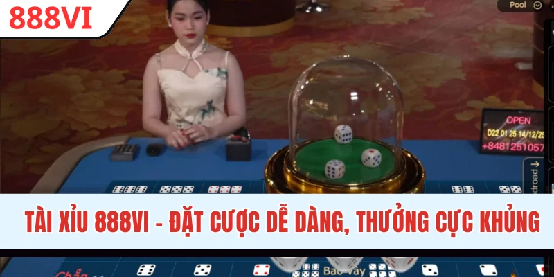 Tài Xỉu 888VI - Đặt Cược Dễ Dàng, Nhận Thưởng Siêu Khủng