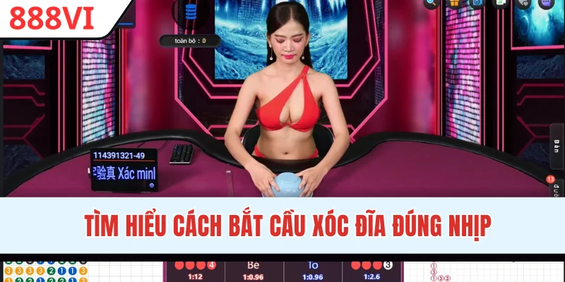 Tìm hiểu cách bắt cầu Xóc Đĩa đúng nhịp